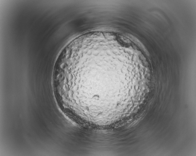 X0000071930855200608041459