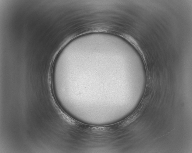 X0000071930859200608041459