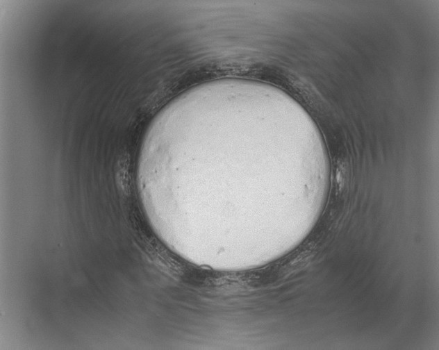 X0000071930867200608041458