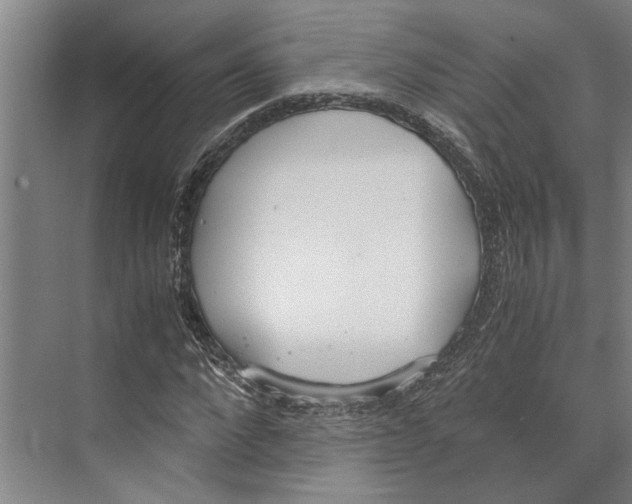 X0000071930872200608041458