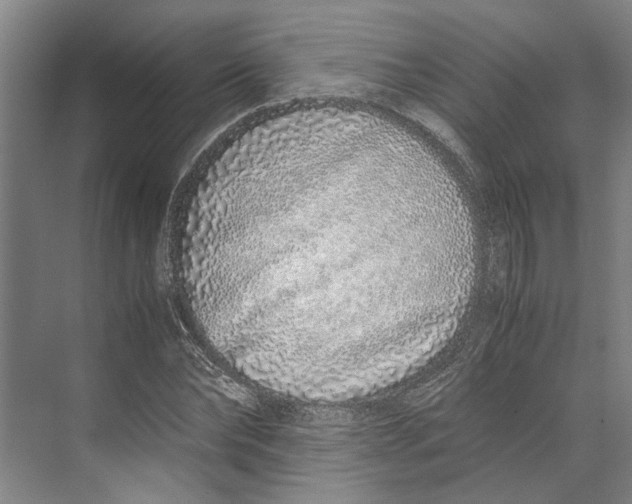 X0000071930878200608041458
