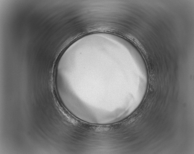 X0000071930890200608041458