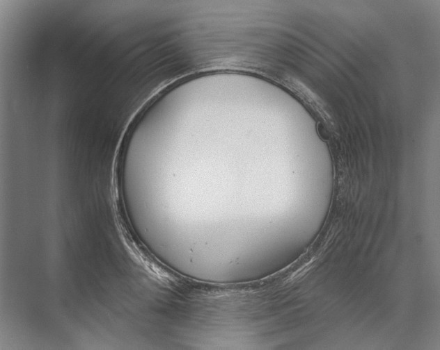 X0000071930892200608041458