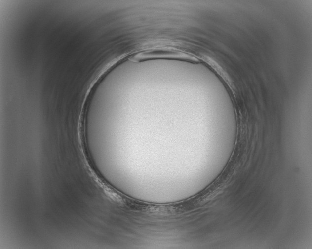 X0000071930901200608041458