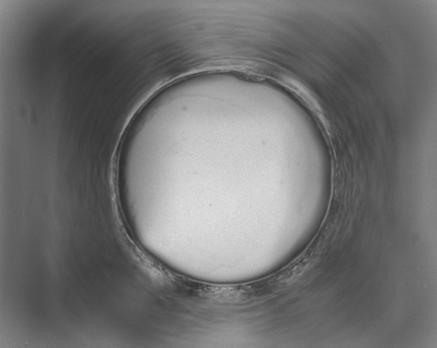 X0000071930907200608041457