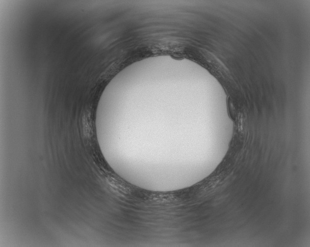 X0000071930915200608041457