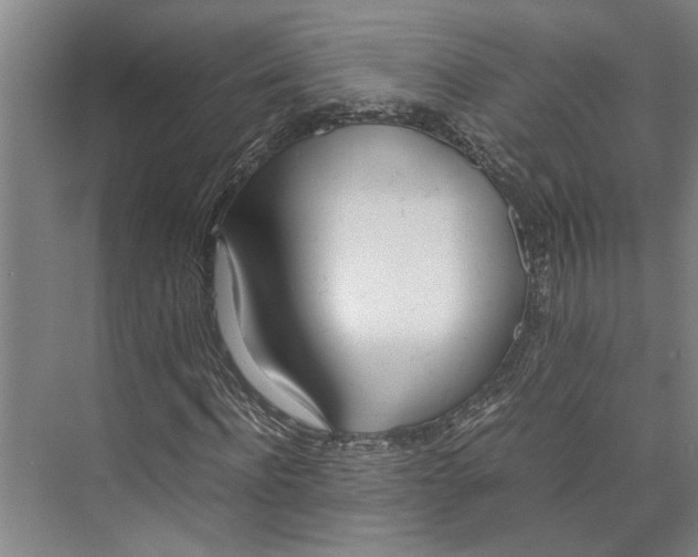 X0000071930916200608041457