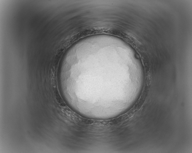 X0000071930917200608041457