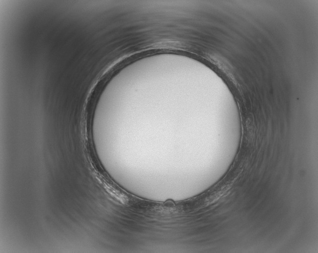 X0000071930931200608041457