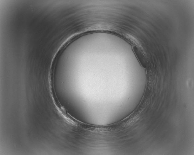 X0000071930942200608041457