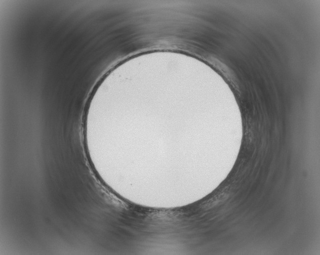 X0000071930950200608041457