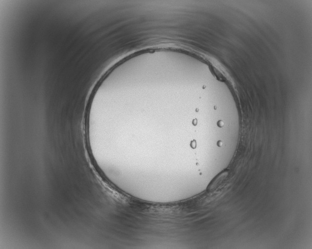 X0000071930951200608041457