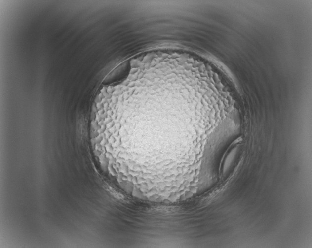 X0000071930953200608041457