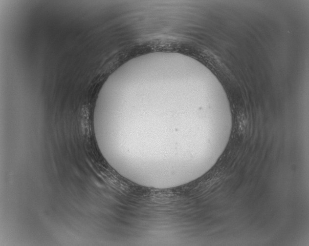 X0000071930964200608041456