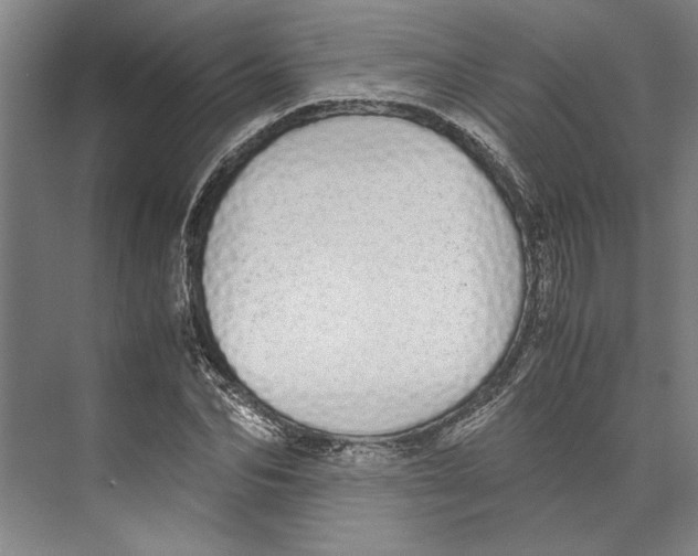 X0000071930974200608041456