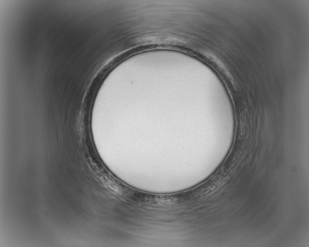 X0000071930975200608041456