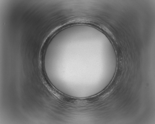 X0000071930981200608041456