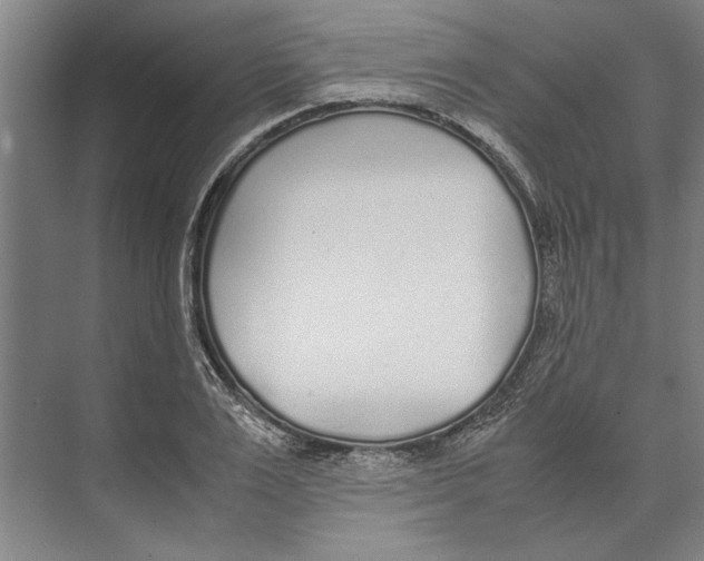 X0000071930983200608041456