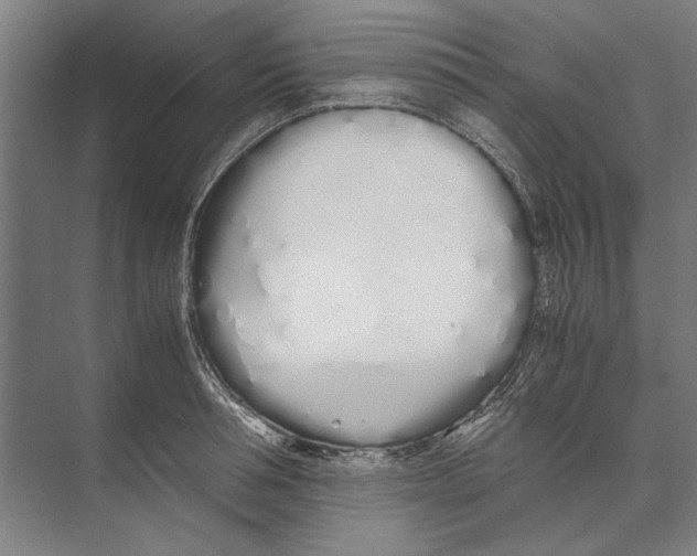 X0000071930994200608041456