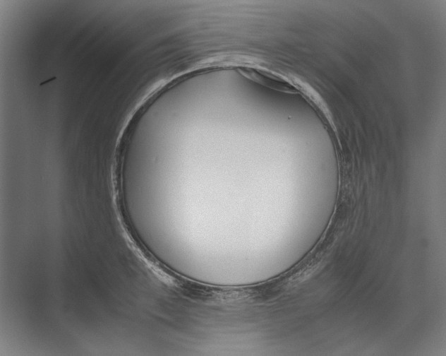X0000071930997200608041456