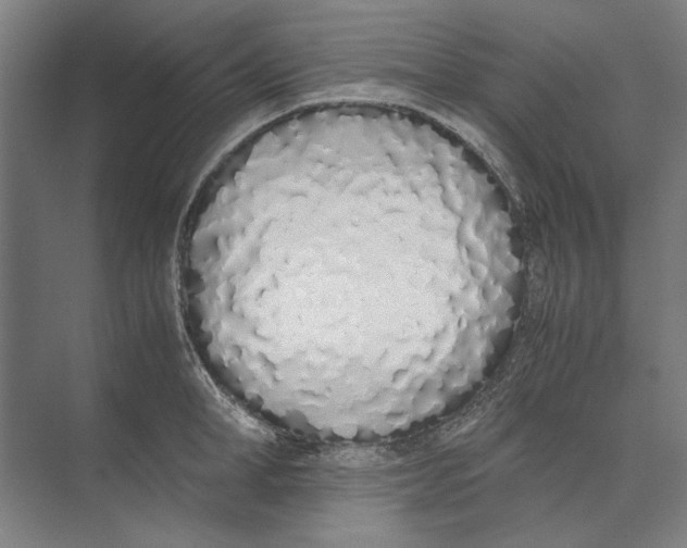X0000071930998200608041456