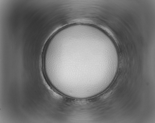 X0000071930999200608041456