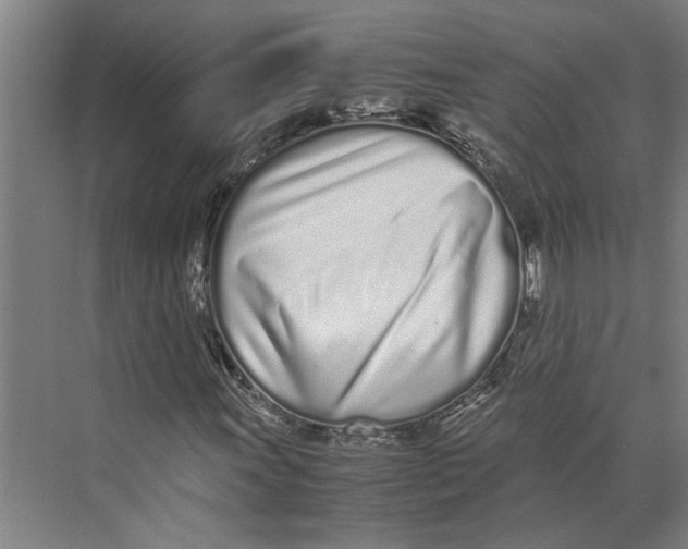 X0000071931011200608041455