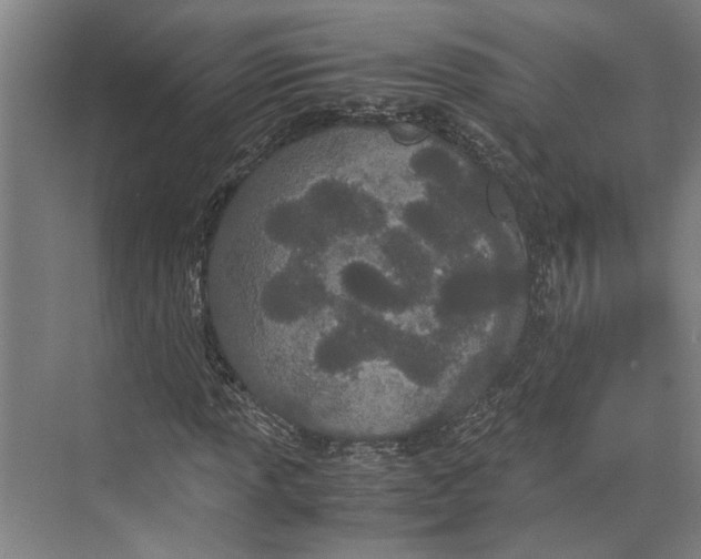 X0000071931013200608041455