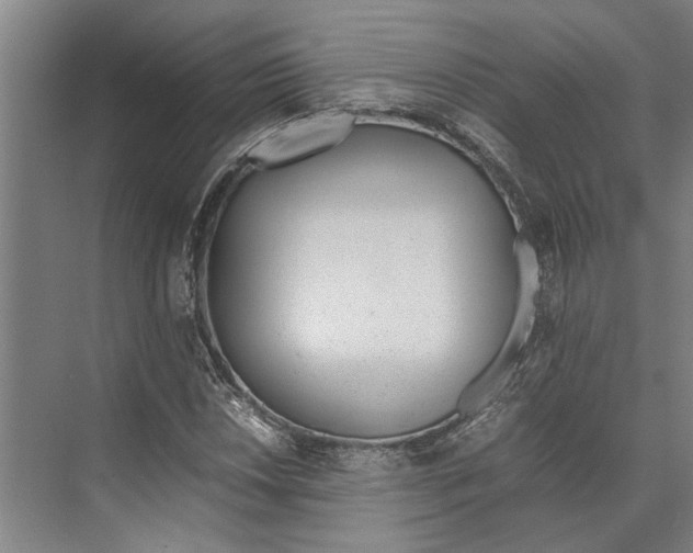 X0000071931018200608041455