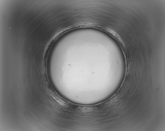 X0000071931027200608041455