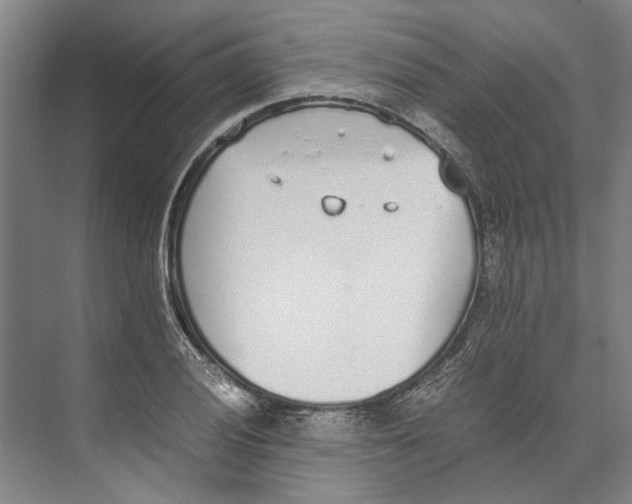 X0000071931028200608041455