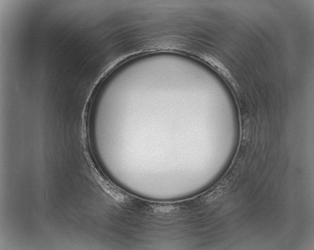 X0000071931031200608041455