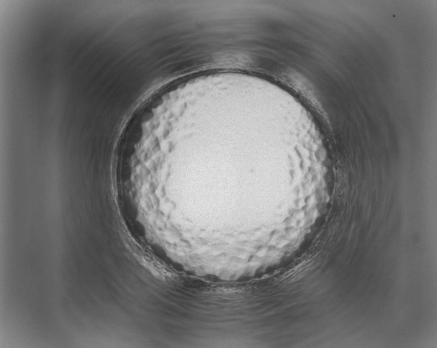 X0000071931035200608041455