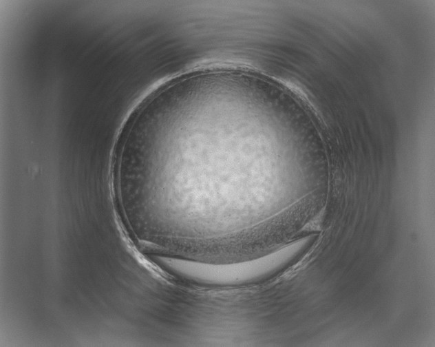 X0000071931038200608041455