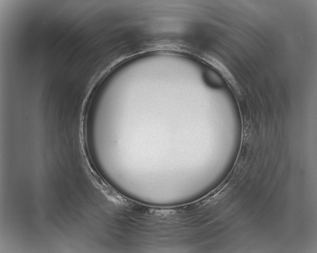 X0000071931043200608041455