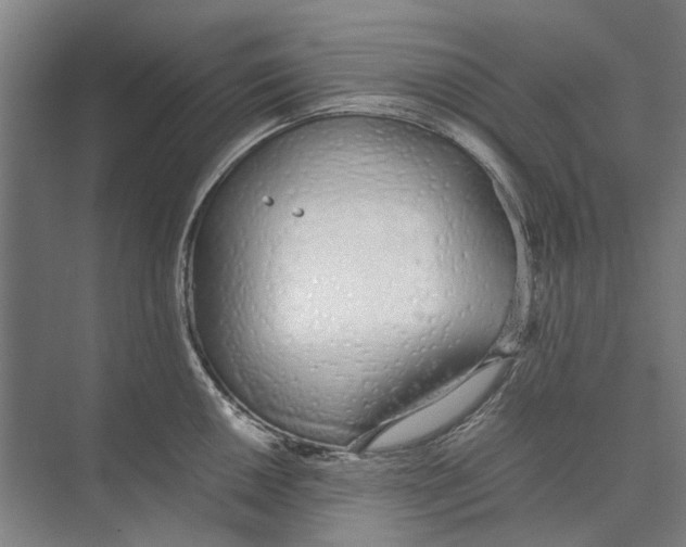 X0000071931050200608041456