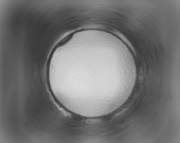 X0000071931053200608041456