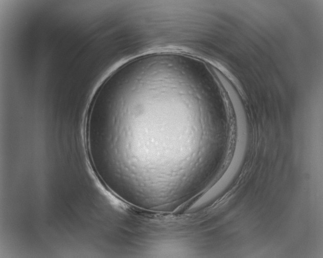 X0000071931054200608041456