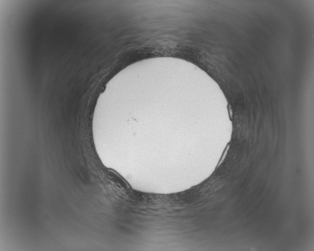 X0000071931057200608041455