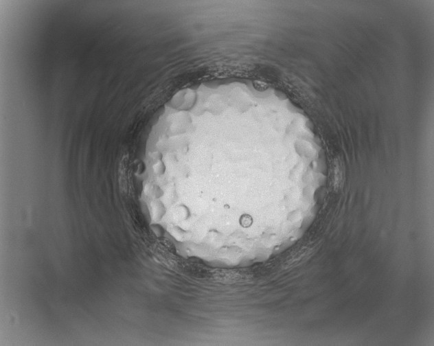 X0000071931059200608041455
