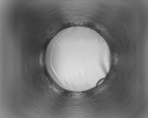 X0000071931060200608041455