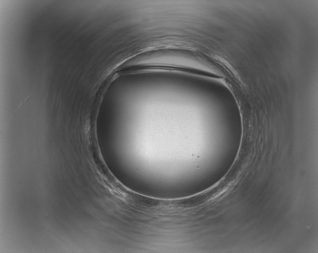 X0000071931065200608041455