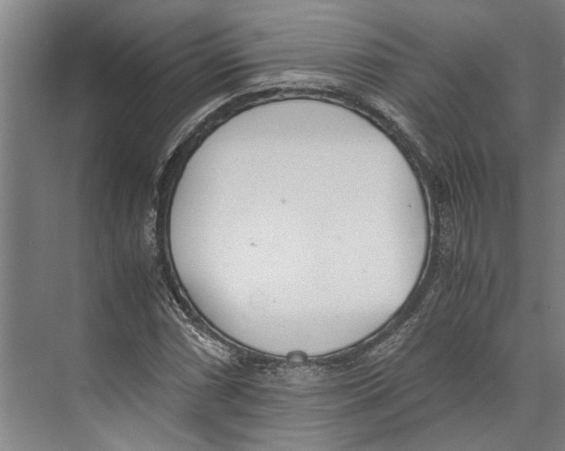 X0000071931066200608041455