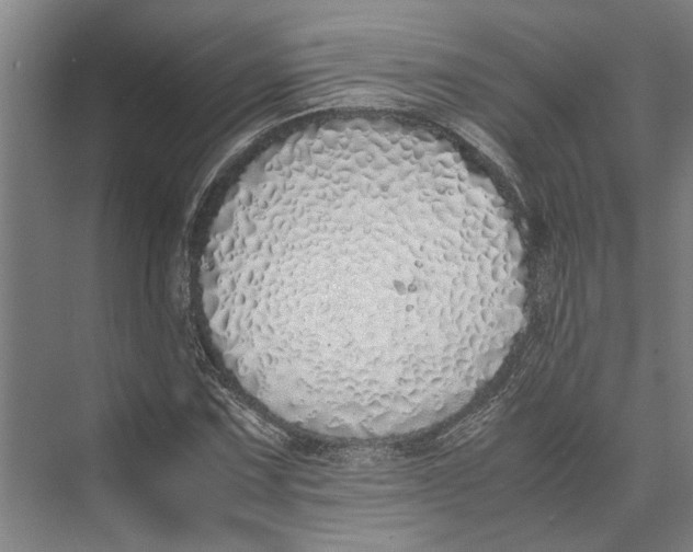 X0000071931067200608041455
