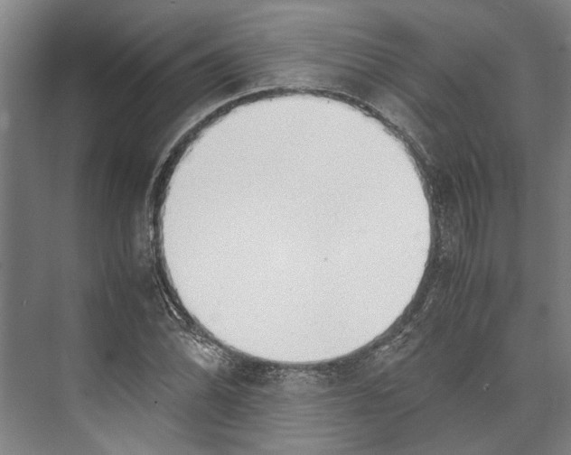 X0000071931070200608041455