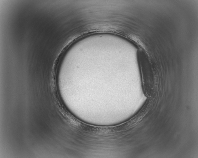 X0000071931071200608041455