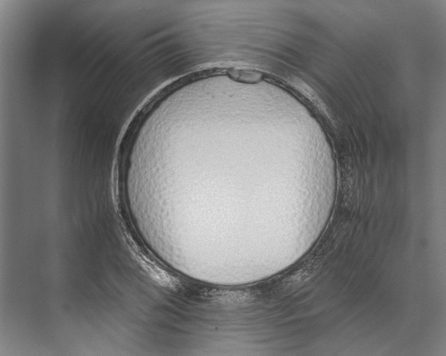 X0000071931076200608041455