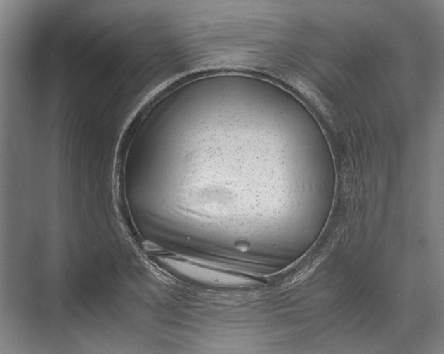 X0000071931077200608041455