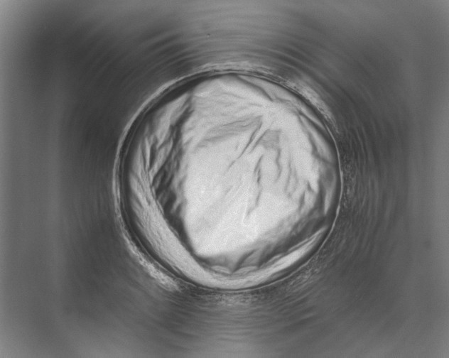 X0000071931084200608041454