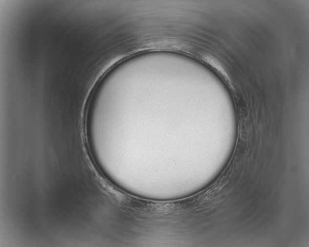X0000071931087200608041454